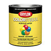 Krylon COLORmaxx paint Sun Yellow